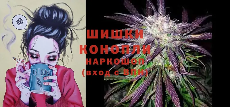 Конопля White Widow  как найти наркотики  Курчатов 